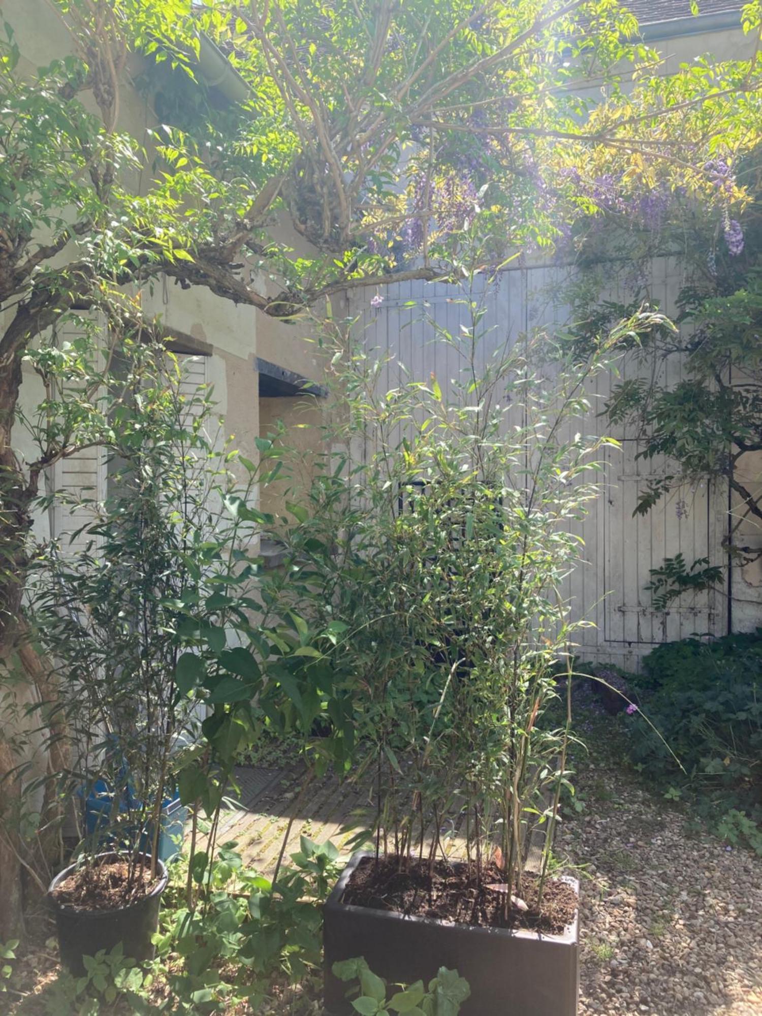 Homestay Studio Chez L'habitant *